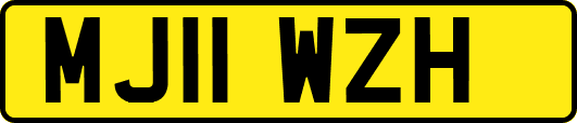 MJ11WZH