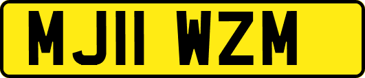 MJ11WZM