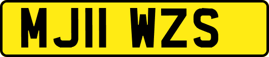 MJ11WZS