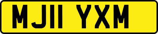 MJ11YXM