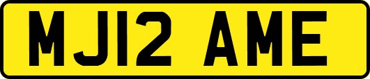 MJ12AME