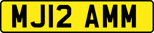 MJ12AMM
