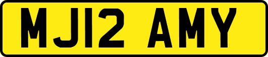 MJ12AMY