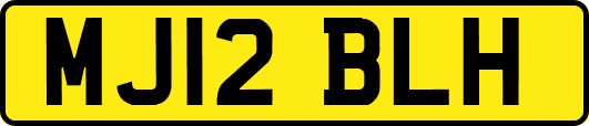 MJ12BLH