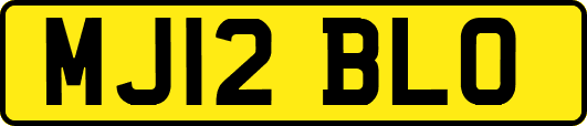 MJ12BLO