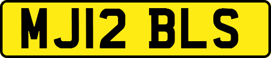 MJ12BLS
