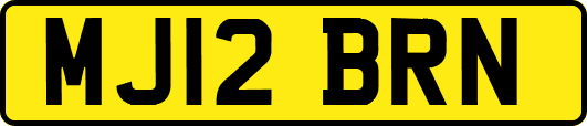 MJ12BRN