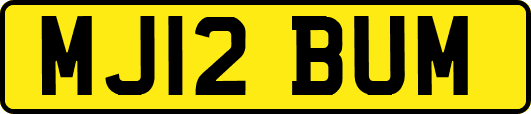 MJ12BUM