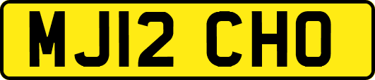 MJ12CHO