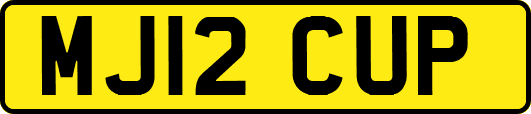 MJ12CUP