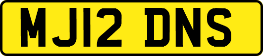 MJ12DNS