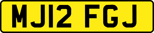 MJ12FGJ