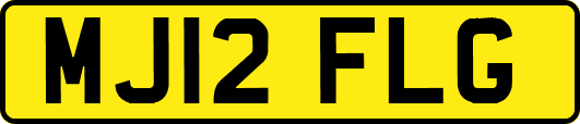 MJ12FLG