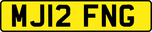 MJ12FNG