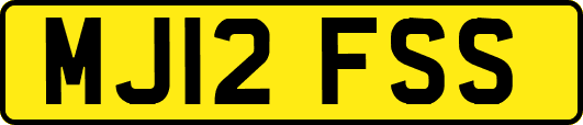 MJ12FSS