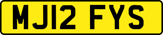 MJ12FYS