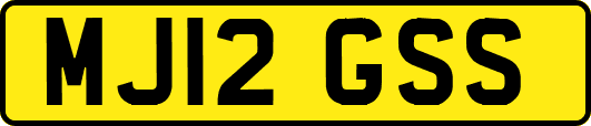 MJ12GSS