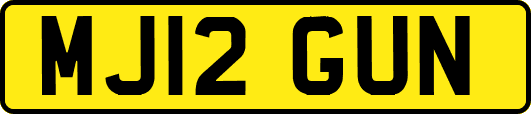 MJ12GUN
