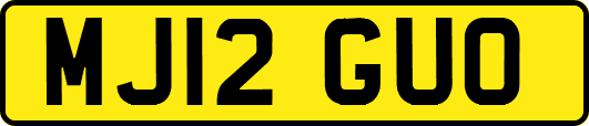 MJ12GUO