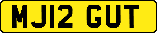 MJ12GUT