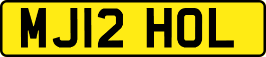 MJ12HOL
