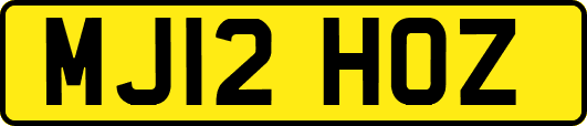 MJ12HOZ