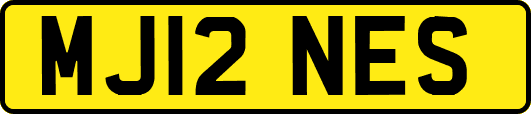 MJ12NES