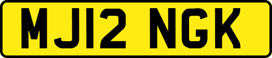 MJ12NGK