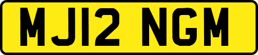 MJ12NGM
