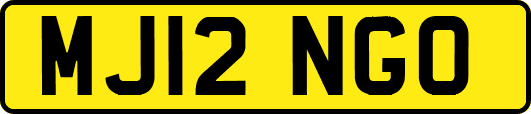 MJ12NGO