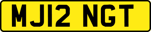 MJ12NGT