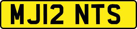 MJ12NTS