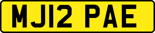 MJ12PAE