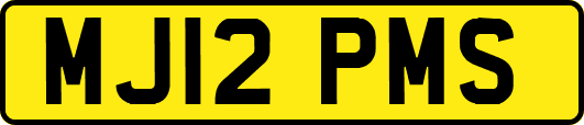 MJ12PMS