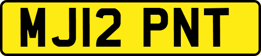 MJ12PNT