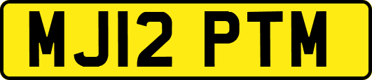 MJ12PTM