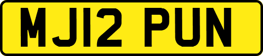 MJ12PUN