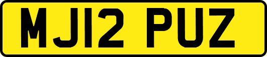 MJ12PUZ