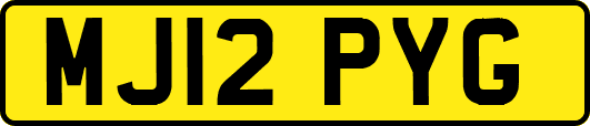 MJ12PYG