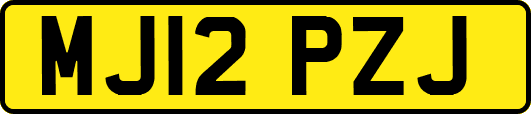 MJ12PZJ