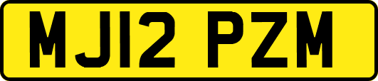 MJ12PZM