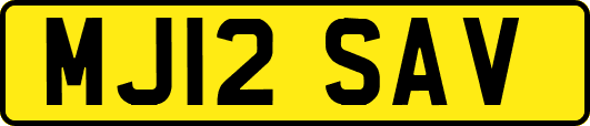 MJ12SAV