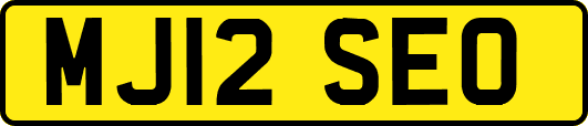 MJ12SEO
