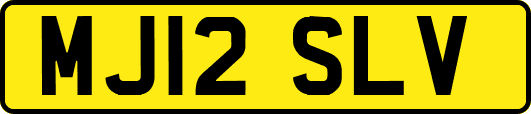 MJ12SLV
