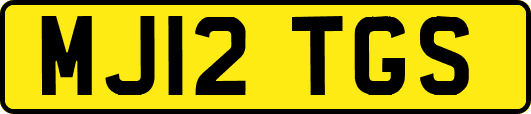 MJ12TGS