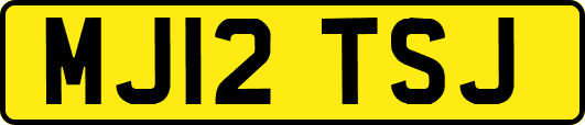 MJ12TSJ