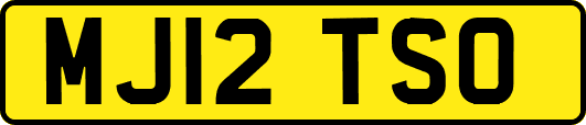 MJ12TSO