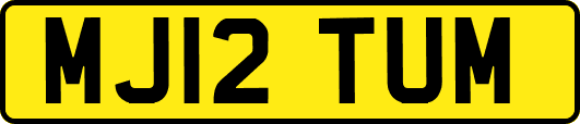MJ12TUM