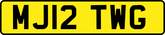 MJ12TWG