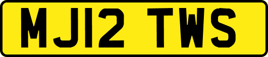 MJ12TWS